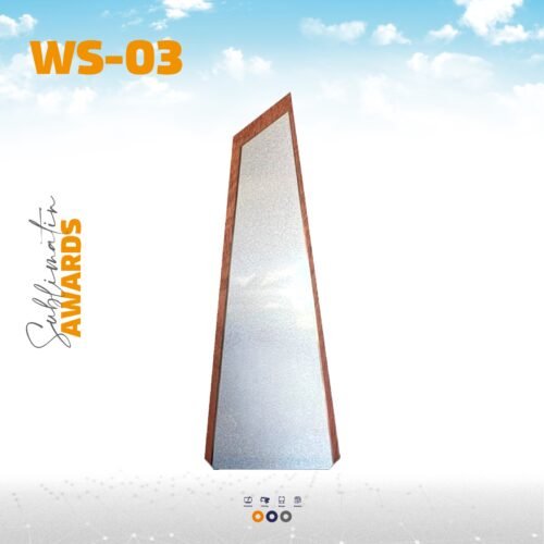 AWARD WS3
