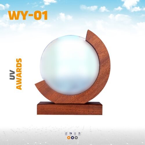 AWARD WY-01